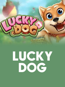 22AJ ⚽ Cassino ao Vivo： Dicas e Estratégias